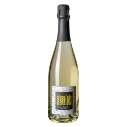 LES DEBRHYDÉS BULLES