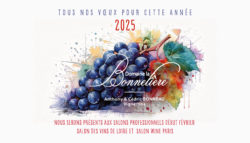 Meilleurs vœux 2025